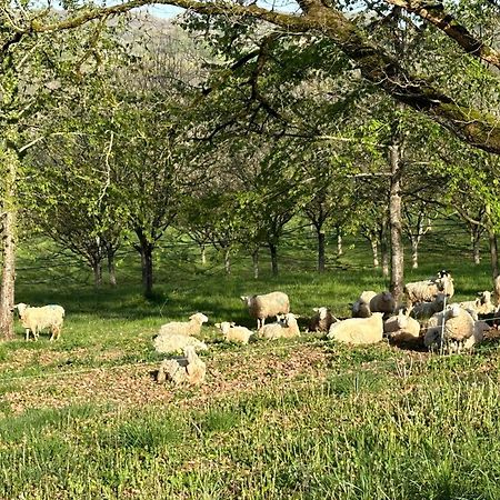 Domaine La Noyeraie Perigord Noir Villa Paulin Bagian luar foto